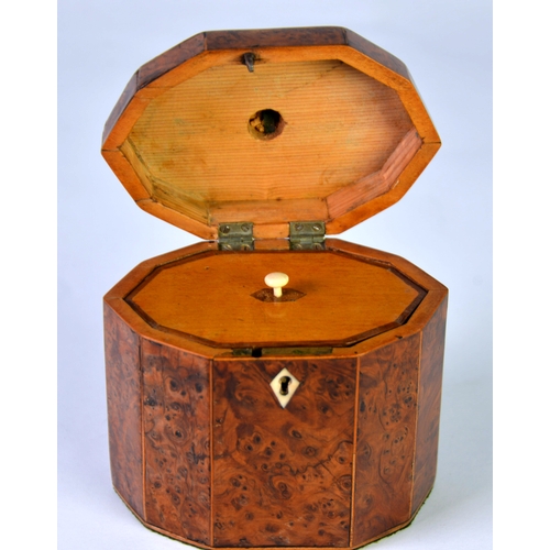 39 - GEORGE III YEWTREE WOOD and BOXWOOD STRUNG DECAGONAL TEA CADDY with BRASS carrying handle, lidded co... 