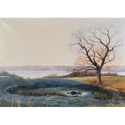 105 - MARGARET BROWN (TWENTIETH/ TWENTY FIRST CENTURY)OIL ON CANVASWinter lake scene with tree in the fore... 