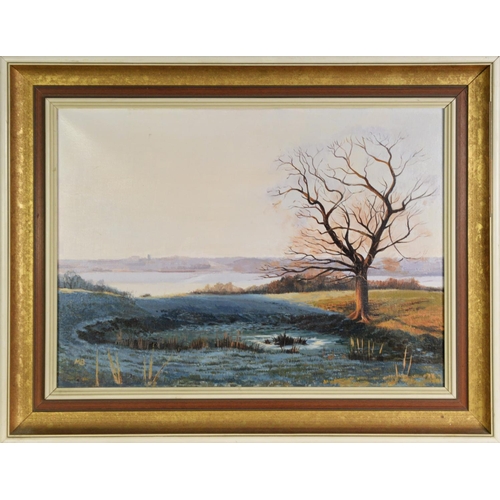 105 - MARGARET BROWN (TWENTIETH/ TWENTY FIRST CENTURY)OIL ON CANVASWinter lake scene with tree in the fore... 