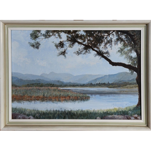 107 - MARGARET BROWN (TWENTIETH/ TWENTY FIRST CENTURY) OIL ON CANVAS Lake with hills in backgroundSigned w... 