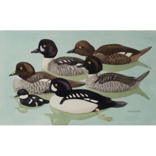 126 - NOEL WILLIAM CUSA (1909 – 1990)WATERCOLOUR Six shell ducks on the water Signed lower right 7” x 11 ½... 