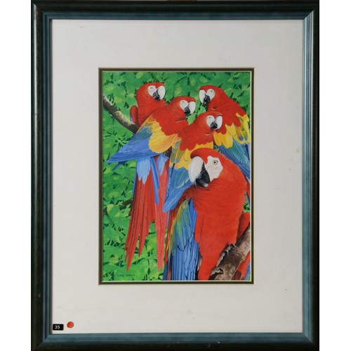 131 - CHRIS SHIELDS (TWENTIETH/ TWENTY FIRST CENTURY)GOUACHE Five parrots perched on a branch Signed 12” x... 