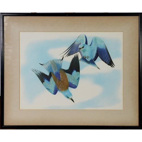 134 - WHIMS LA MARES (TWENTIETH/ TWENTY FIRST CENTURY)WATERCOLOURTwo birds engaging in flight Signed indis... 