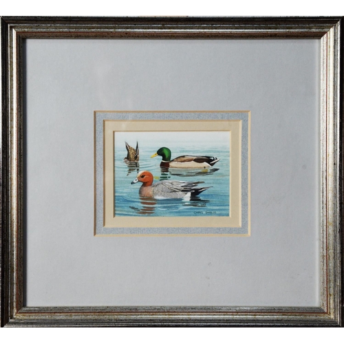 137 - CHRIS SHIELDS (TWENTIETH/ TWENTY FIRST CENTURY)PAIR OF GOUACHE DRAWINGS‘Male and Female Ducks’ Signe... 