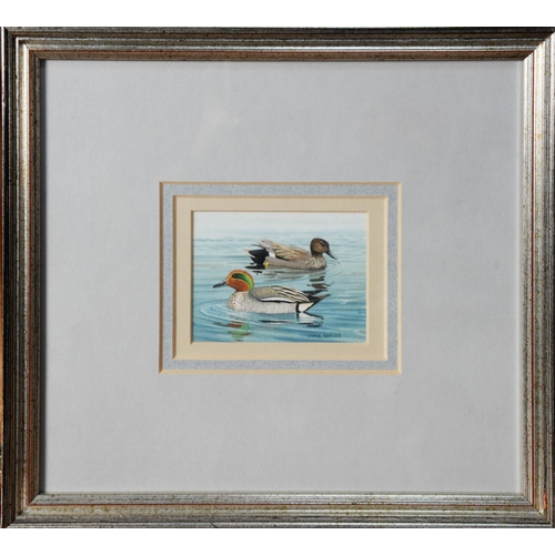 137 - CHRIS SHIELDS (TWENTIETH/ TWENTY FIRST CENTURY)PAIR OF GOUACHE DRAWINGS‘Male and Female Ducks’ Signe... 