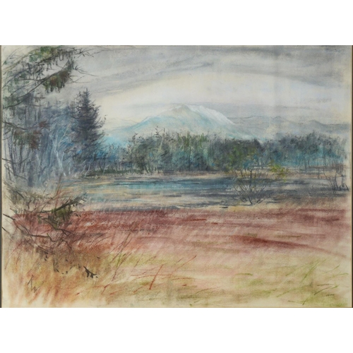 143 - R W (TWENTIETH/ TWENTY FIRST CENTURY) PASTEL Wooded river landscape with mountains in backgroundInit... 