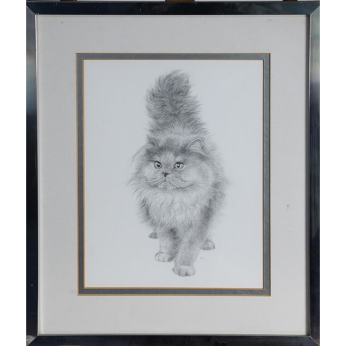 157 - JAMES LACY (TWENTIETH/ TWENTY FIRST CENTURY)PENCIL Original pencil drawing ‘Blue Persian’, long-hair... 