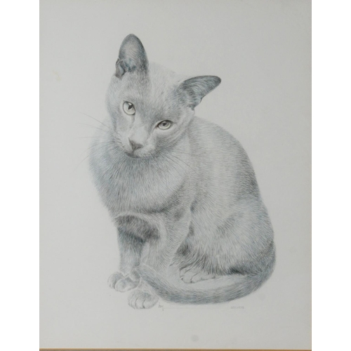 159 - JAMES LACY (TWENTIETH/ TWENTY FIRST CENTURY)PENCIL‘Solveib’, cat Signed and titled 14” x 11” (35.6cm... 