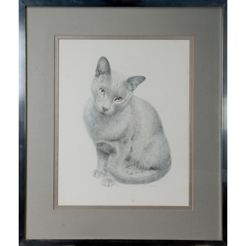 159 - JAMES LACY (TWENTIETH/ TWENTY FIRST CENTURY)PENCIL‘Solveib’, cat Signed and titled 14” x 11” (35.6cm... 