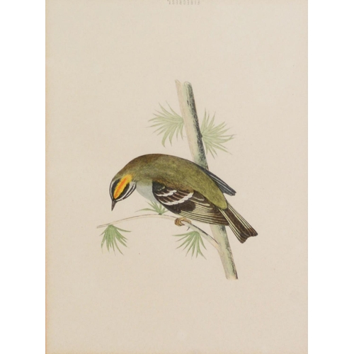 166 - RALPH WATERHOUSEARTIST SIGNED COLOUR PRINT Two gulls on nestSigned to the mount6 ¼” x 8 ¼” (15.9cm x... 