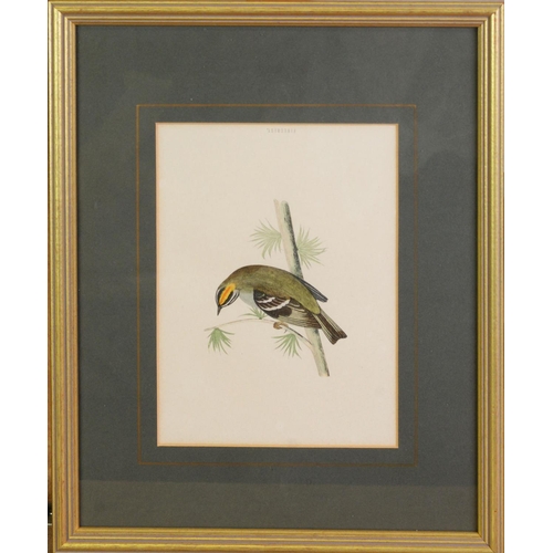 166 - RALPH WATERHOUSEARTIST SIGNED COLOUR PRINT Two gulls on nestSigned to the mount6 ¼” x 8 ¼” (15.9cm x... 