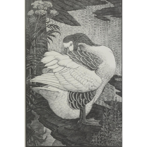 166 - RALPH WATERHOUSEARTIST SIGNED COLOUR PRINT Two gulls on nestSigned to the mount6 ¼” x 8 ¼” (15.9cm x... 