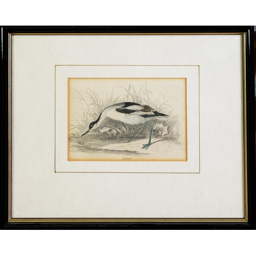 166 - RALPH WATERHOUSEARTIST SIGNED COLOUR PRINT Two gulls on nestSigned to the mount6 ¼” x 8 ¼” (15.9cm x... 