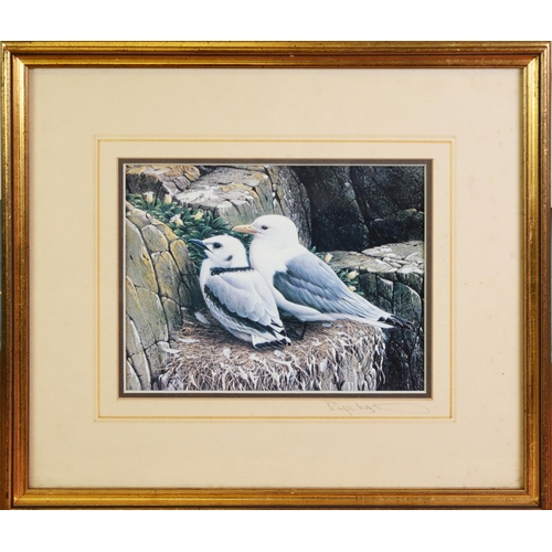 166 - RALPH WATERHOUSEARTIST SIGNED COLOUR PRINT Two gulls on nestSigned to the mount6 ¼” x 8 ¼” (15.9cm x... 