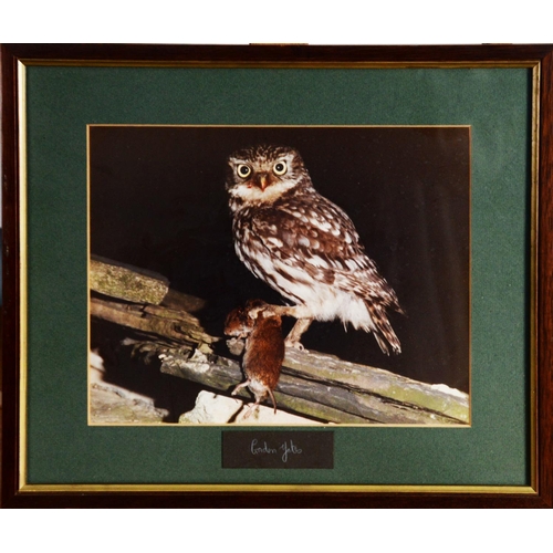 167 - GORDON YATES (TWENTIETH/ TWENTY FIRST CENTURY)SIX COLOUR PHOTOGRAPHIC PRINTS Barn owl with dead prey... 