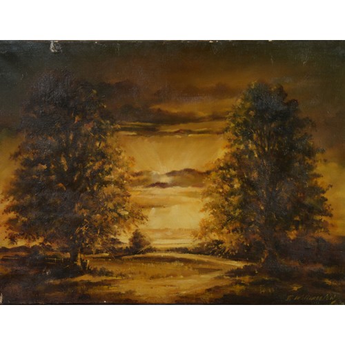 93 - ERIC WILLIAMSON (TWENTIETH CENTURY)FOUR OILS ON CANVASLandscapes Two signed 3 x 20” x 24” (50.8cm x ... 