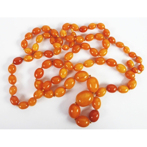 194 - SINGLE STRAND NECKLACE OF GRADUATED OVAL BUTTERSCOTCH AMBER BEADS, 50in (127cm) long, 85gms