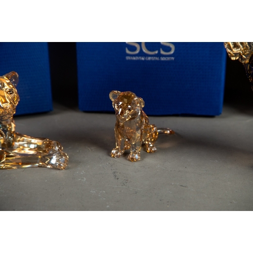 195 - TWO BOXED SWAROVSKI GLASS MODELS OF LIONS, comprising: ANNUAL EDITION 2016, ‘LION AKILI’, 5” (12.7cm... 