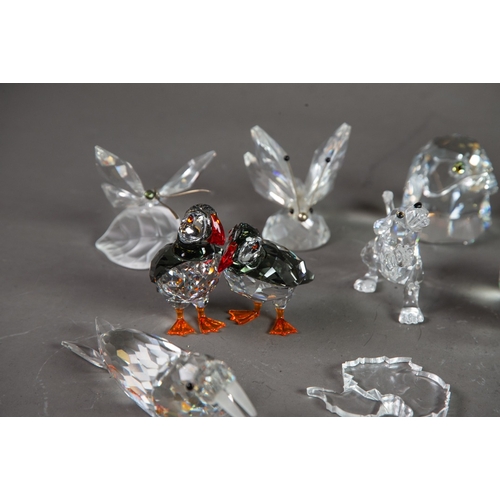 207 - TWENTY SWAROVSKI SMALL GLASS MODELS OF ANIMALS, including: OWL, STAG, PAIR OF PUFFINS, SEALS, CATS, ... 