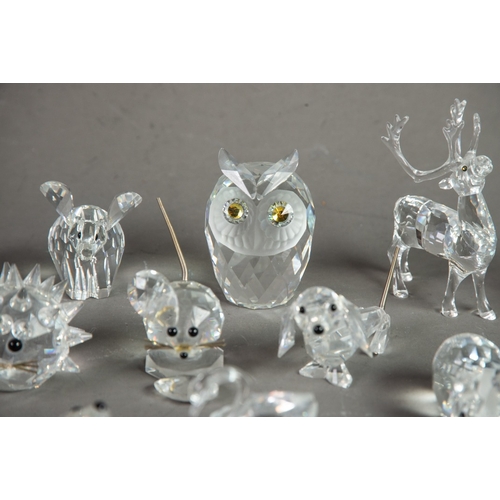 207 - TWENTY SWAROVSKI SMALL GLASS MODELS OF ANIMALS, including: OWL, STAG, PAIR OF PUFFINS, SEALS, CATS, ... 