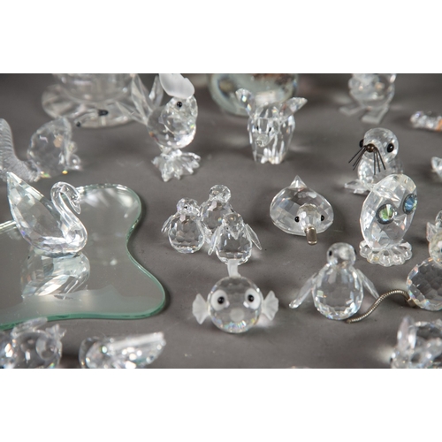 208 - THIRTY FIVE SWAROVSKI MINIATURE GLASS MODELS OF ANIMALS, including: HEDGEHOG, RABBIT, SQUIRREL, TURT... 