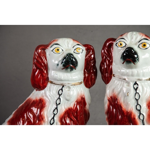 157 - PAIR OF 19th CENTURY STAFFORDSHIRE POTTERY SEATED MANTEL DOGS, red/brown and white with collar and c... 