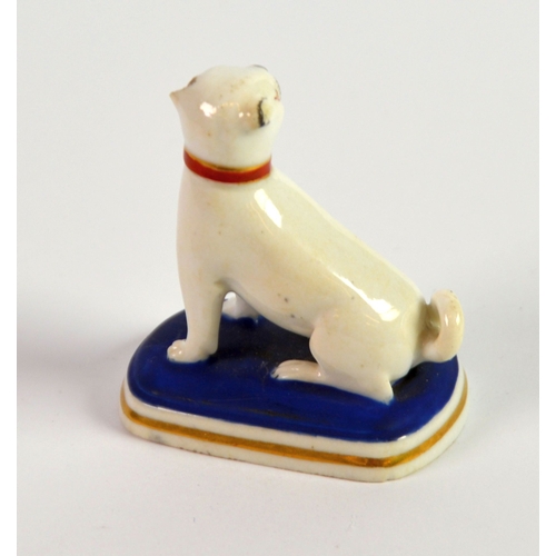 91 - CHAMBERLAIN’S WORCESTER PORCELAIN MODEL OF A SEATED PUG, on a blue and gilt lined rounded oblong bas... 