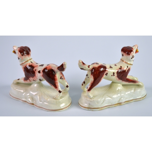 135 - PAIR OF NINETEENTH CENTURY ENGLISH PORCELAIN MODELS OF SPANIELS, each modelled standing with a yello... 