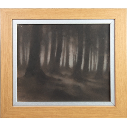 20 - MARTIN DOBSON (b.1947 ) MONOCHROMATIC PASTEL DRAWING Woodland scene Signed 'Dobson' and dated 1986 l... 