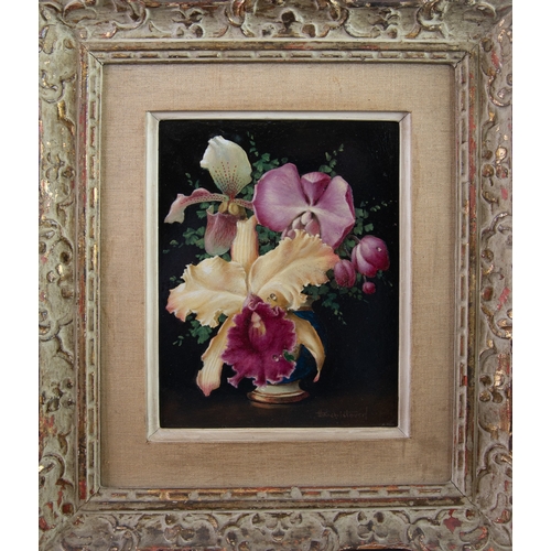 170 - TCHAIKOVSKY (TWENTIETH CENTURY) OIL ON BOARD‘Orchid’ Signed, tilted to label verso 9 ¼” x 7 ¼” (23.5... 