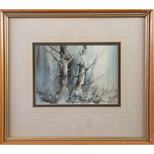 16 - GORDON DALE (TWENTIETH/ TWENTY FIRST CENTURY)WATERCOLOUR ‘Woodland, Light & Shade’ Signed, title... 