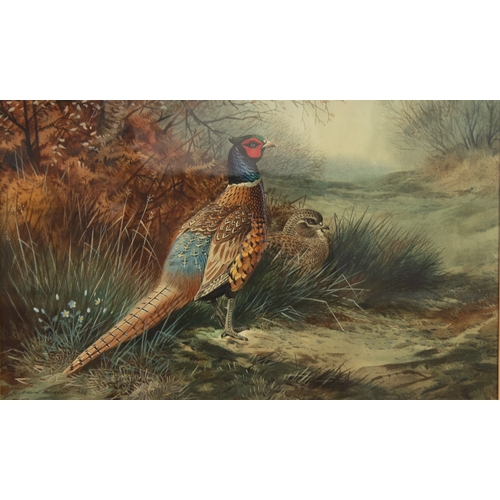 243 - C DAVID JOHNSTON (Modern) WATERCOLOUR Two pheasants Signed & dated 1978 lower left 13