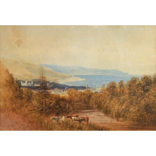 265 - ANDREW NICHOLL (1804-1886) WATERCOLOUR Glenarm, County Antrim, IrelandSigned 13 ¾” x 20” (35cm x 50.... 