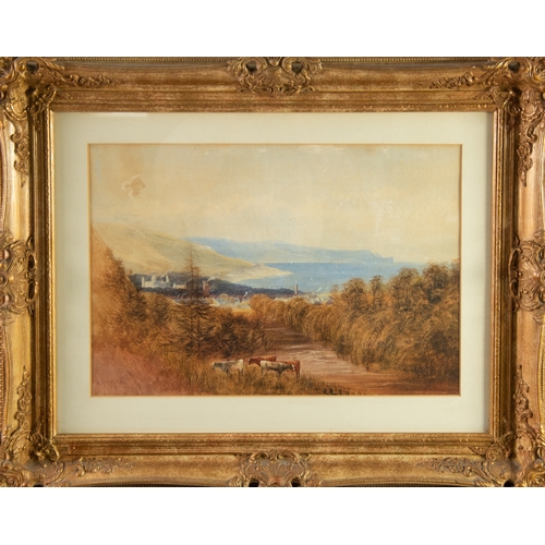 265 - ANDREW NICHOLL (1804-1886) WATERCOLOUR Glenarm, County Antrim, IrelandSigned 13 ¾” x 20” (35cm x 50.... 