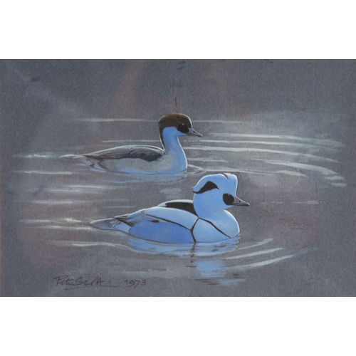 296 - PETER MARKHAM SCOTT (1909-1989)GOUACHE ON GREY-TONED PAPERTwo male and female Smew (Mergus Albellus)... 