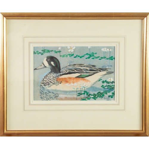 260 - CHARLES FREDERICK TUNNICLIFFE (1901-1979)WATERCOLOUR ‘Chiloe Wigeon from South America’ Signed, titl... 