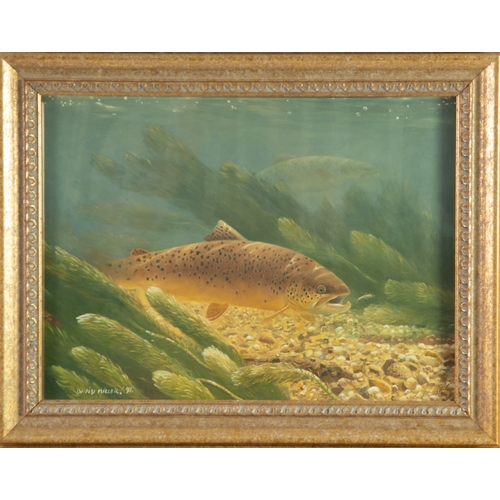 235 - DAVID MILLER (1966) OIL ON BOARD‘Brown Trout’ Signed and dated (19)97, unsigned five line inscriptio... 