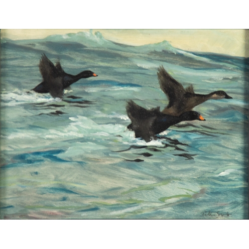 228 - PETER MARKHAM SCOTT (1909-1989)OIL ON BOARD Three scoter sea ducks taking flight Signed and with The... 