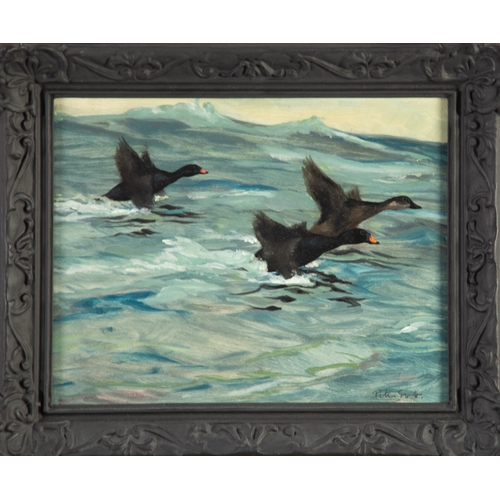 228 - PETER MARKHAM SCOTT (1909-1989)OIL ON BOARD Three scoter sea ducks taking flight Signed and with The... 