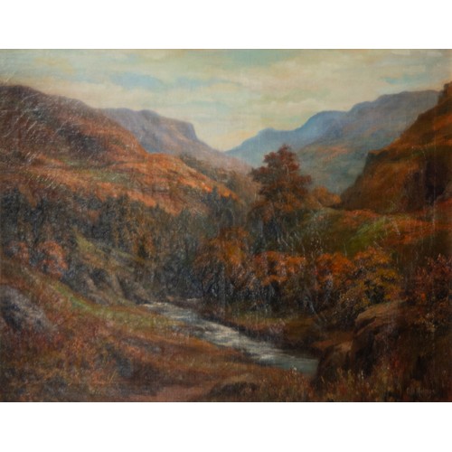 236A - C B HOLMES (LATE NINETEENTH/ EARLY TWENTIETH CENTURY) OIL ON CANVASHighland landscape with river in ... 