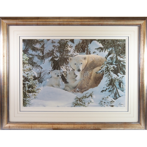 431 - STEVEN TOWNSEND (b.1955)ARTIST SIGNED LIMITED EDITION COLOUR PRINT'Warmth of Nature'Numbered 527/675... 