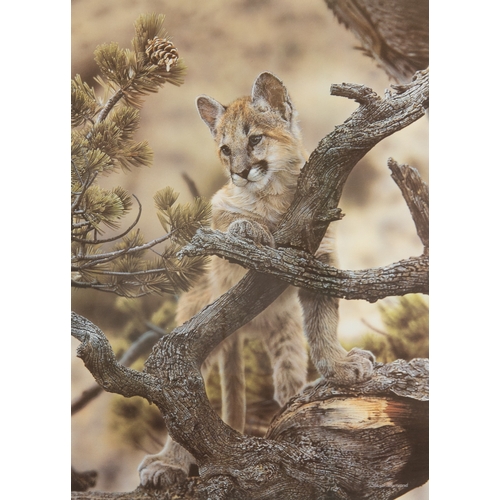 432 - STEVEN TOWNSEND (b.1955)ARTIST SIGNED LIMITED EDITION COLOUR PRINT'Curiosity'Numbered 231/500, with ... 