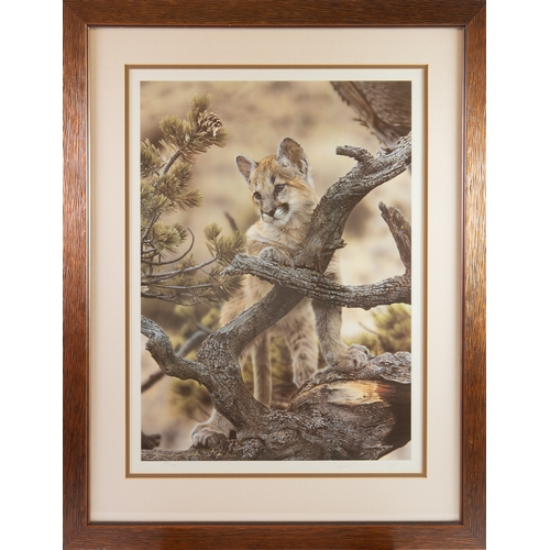 432 - STEVEN TOWNSEND (b.1955)ARTIST SIGNED LIMITED EDITION COLOUR PRINT'Curiosity'Numbered 231/500, with ... 