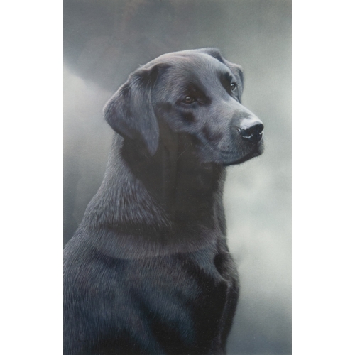 434 - STEVEN TOWNSEND (b.1955)ARTIST SIGNED LIMITED EDITION COLOUR PRINT'Loyalty'Numbered 21/675, with Cer... 