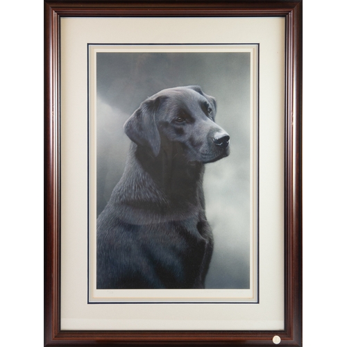 434 - STEVEN TOWNSEND (b.1955)ARTIST SIGNED LIMITED EDITION COLOUR PRINT'Loyalty'Numbered 21/675, with Cer... 