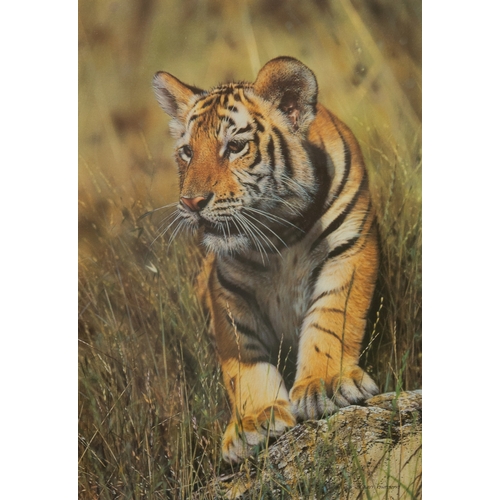 437 - STEVEN TOWNSEND (b.1955)ARTIST SIGNED LIMITED EDITION COLOUR PRINT'Young Pretender'Numbered 158/500,... 