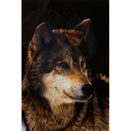 440 - STEVEN TOWNSEND (b.1955)ARTIST SIGNED LIMITED EDITION COLOUR PRINT'Study of a Grey Wolf'Numbered 166... 