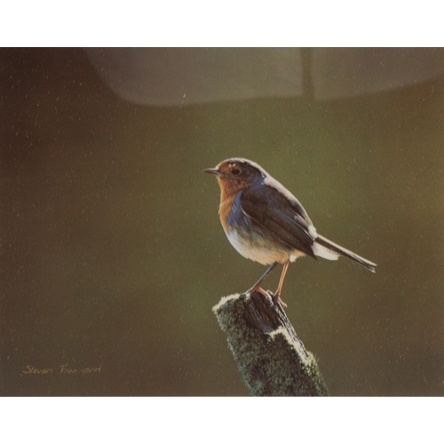 441 - STEVEN TOWNSEND (b.1955)ARTIST SIGNED LIMITED EDITION COLOUR PRINTS, FIVEThree of Robins and Two of ... 