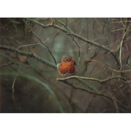 441 - STEVEN TOWNSEND (b.1955)ARTIST SIGNED LIMITED EDITION COLOUR PRINTS, FIVEThree of Robins and Two of ... 