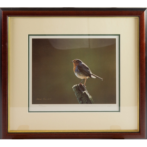 441 - STEVEN TOWNSEND (b.1955)ARTIST SIGNED LIMITED EDITION COLOUR PRINTS, FIVEThree of Robins and Two of ... 